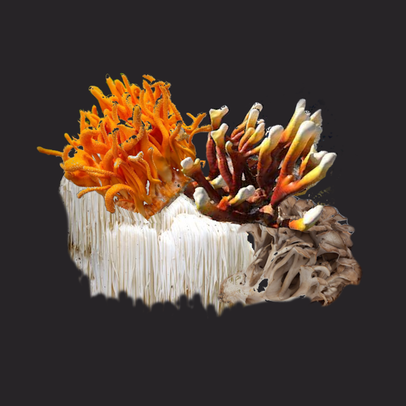 Mushroom Energy